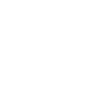 Intro Section Icon 3