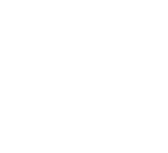 Intro Section Icon 3