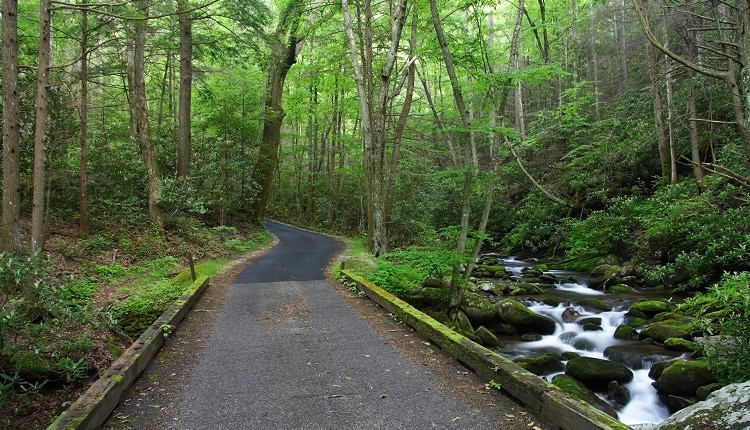 Roaring Fork Motor Nature Trail - Smoky Mountains National Park