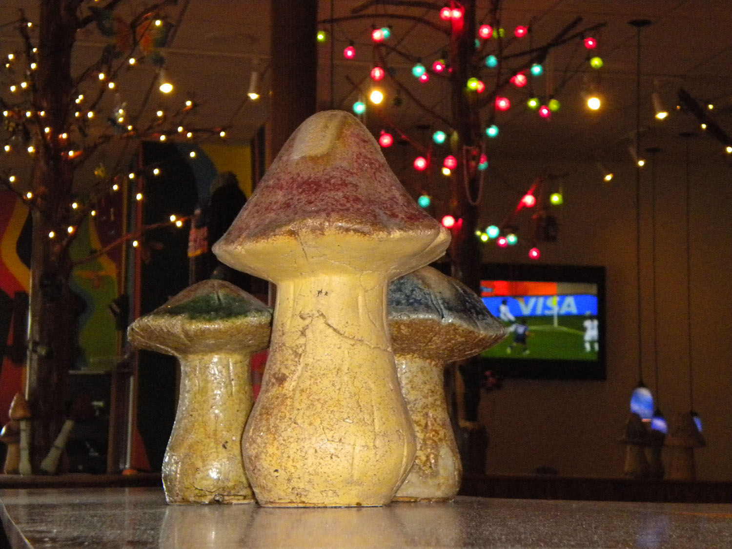 Mellow Mushroom in Pigeon Forge, TN