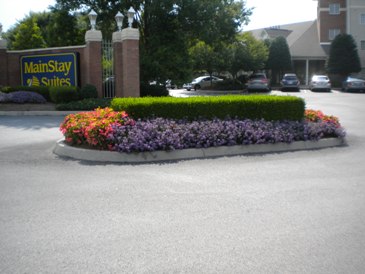 MainStay Suites in Pigeon Forge