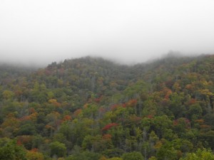 GSMNP Fall Foliage