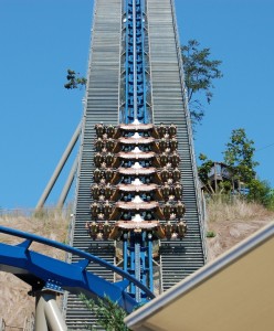 Dollywood Wild Eagle