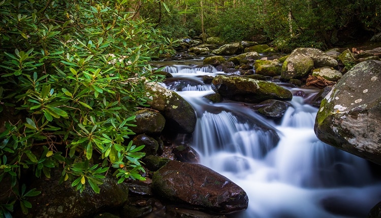 Cascades on Roaring Fork Motor Nature Trail in Great Smoky Mountains National Park