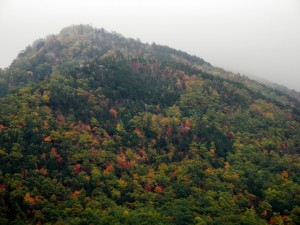 Fall in the Smoky Mountains