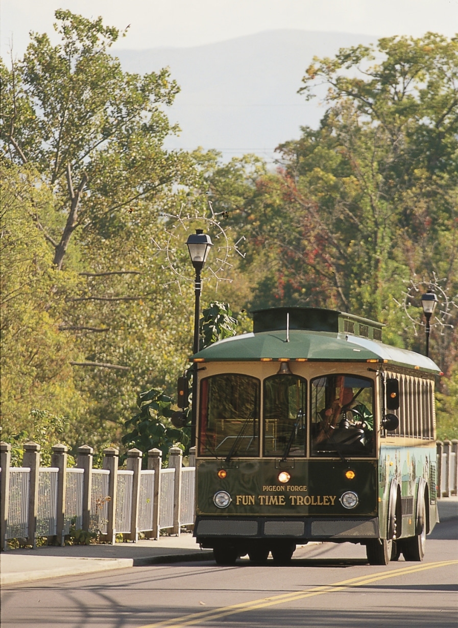 Pigeon Trolleys Make Getting Around a Breeze