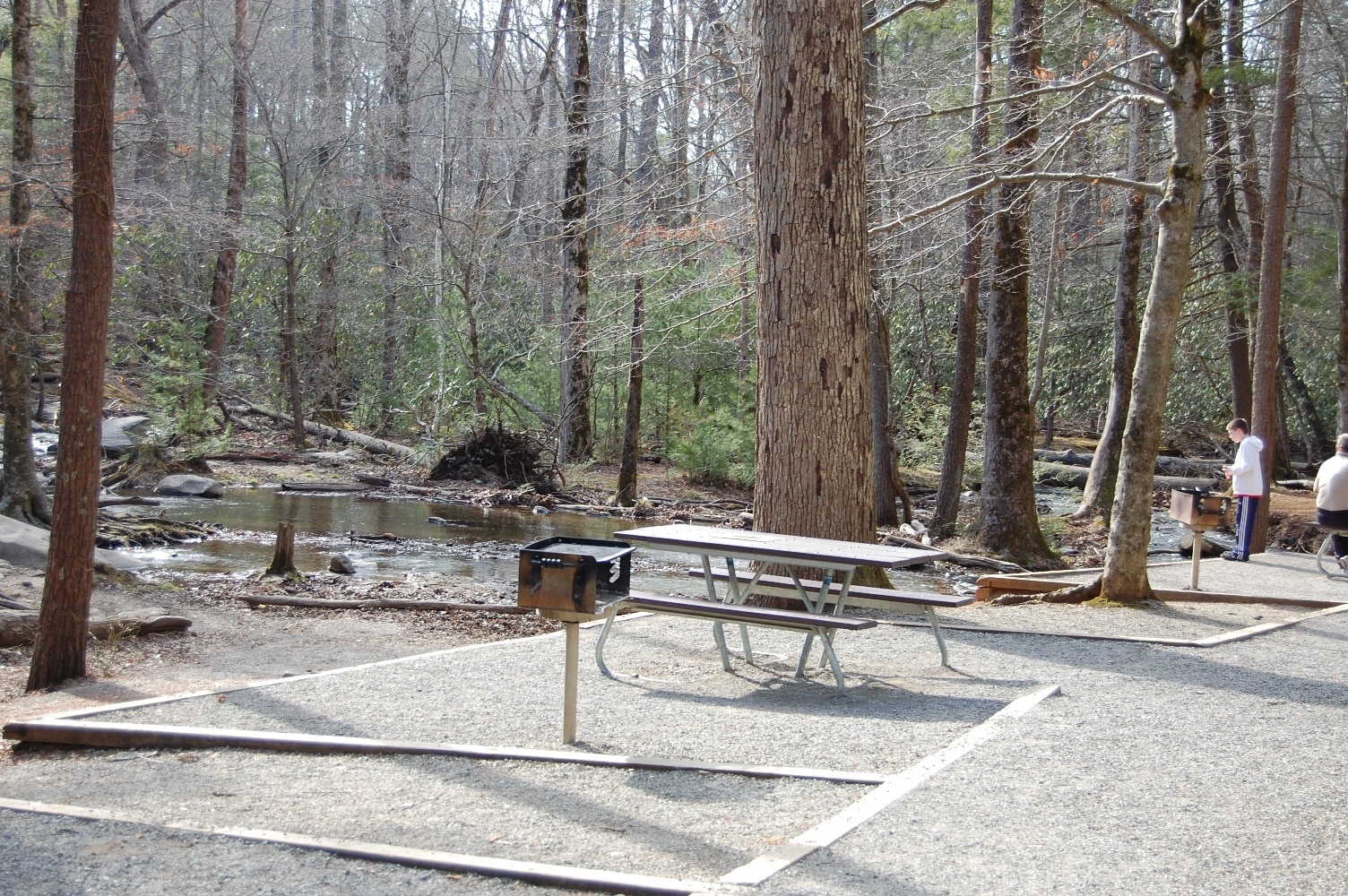 GSMNP Picnic Spot 712014 My Pigeon