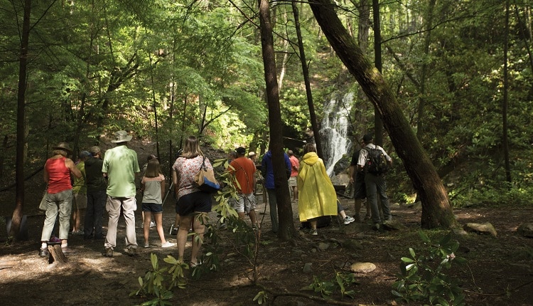 Group Hiking to Waterfall in Great Smoky Mountains National Park