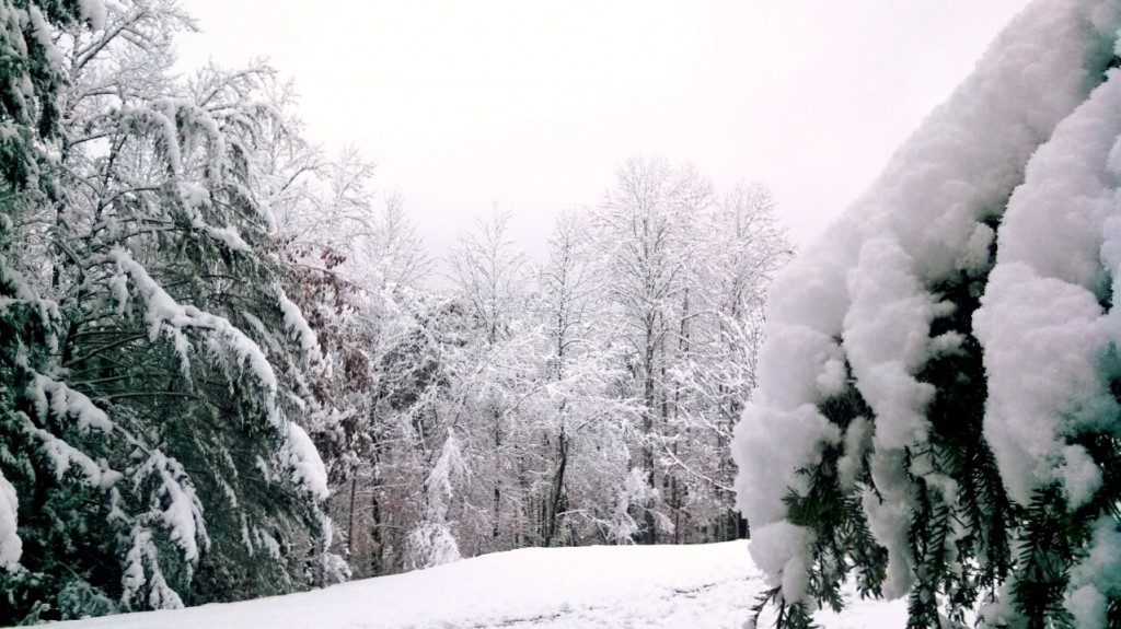 snow in pigeon forge