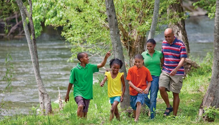 Find a picnic spot alongside the Little Pigeon River