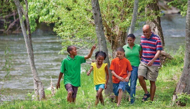 Find a picnic spot alongside the Little Pigeon River