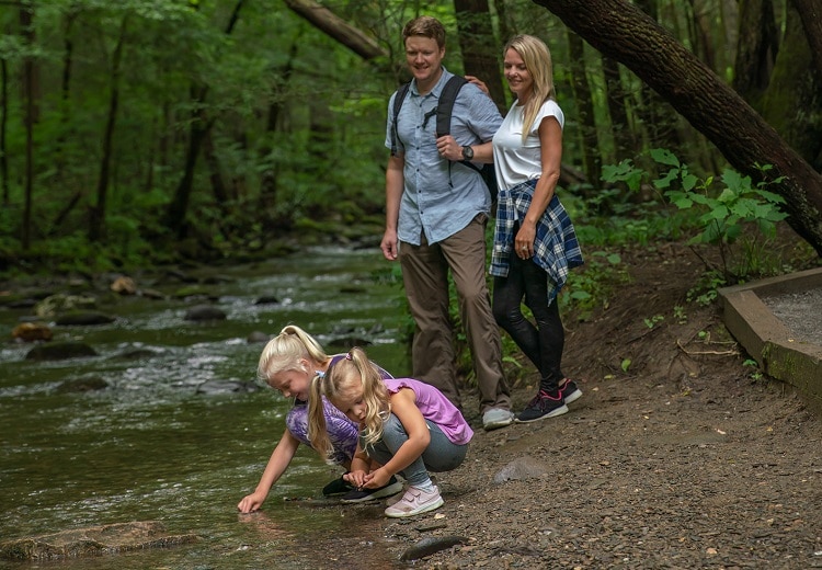 Find your own favorite picnic spot in Great Smoky Mountains National Park