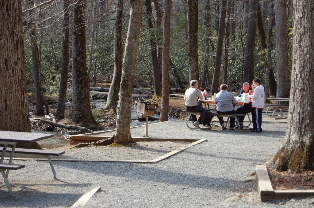 Favorite Picnic Spots in Pigeon