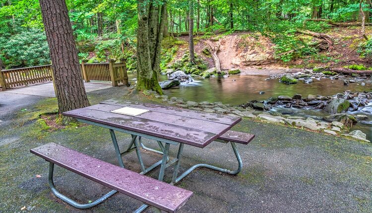 Head for the picnic area in Cades Cove