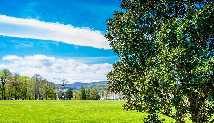 Have a picnic at Wear Farm City Park