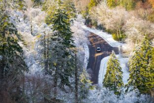 Winter in the Smoky Mountains