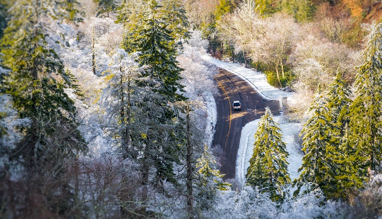 Winter in the Smoky Mountains