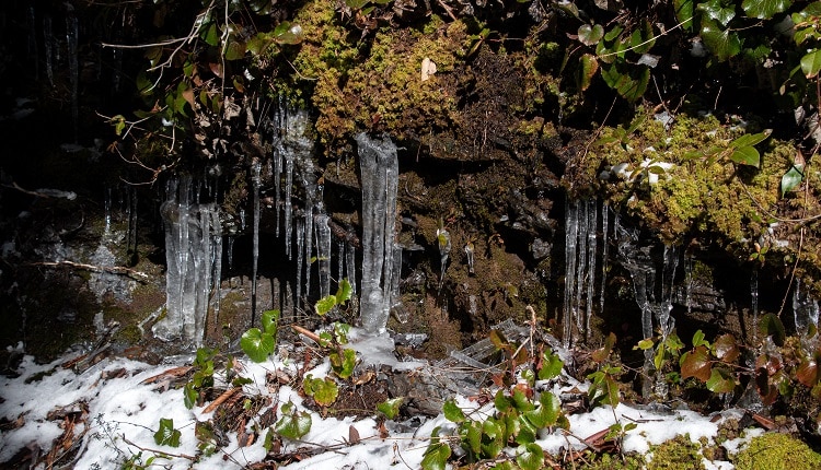 Snow and icicles on Alum Cave Trail in Great Smoky Mountains National Park