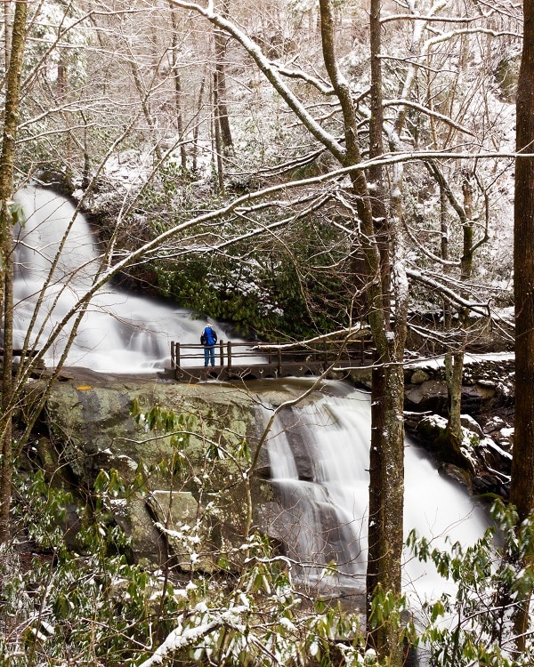 Snow covering the leaves at Laurel Falls in Great Smoky Mountains National Park