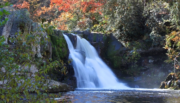 Fall Colors at Abrams Falls