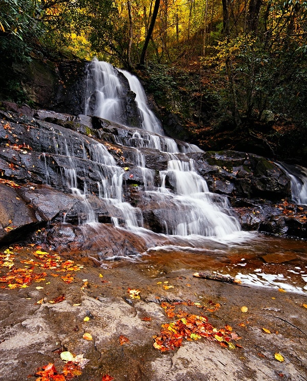 Fall Colors at Laurel Falls