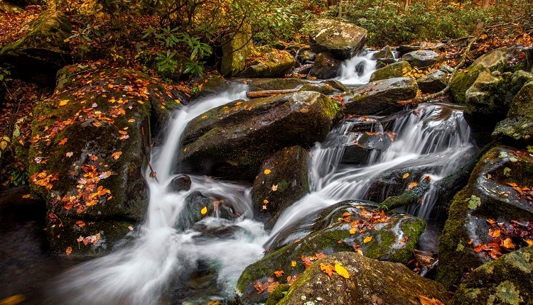 Views of Fall Foliage at Roaring Fork Motor Nature Trail