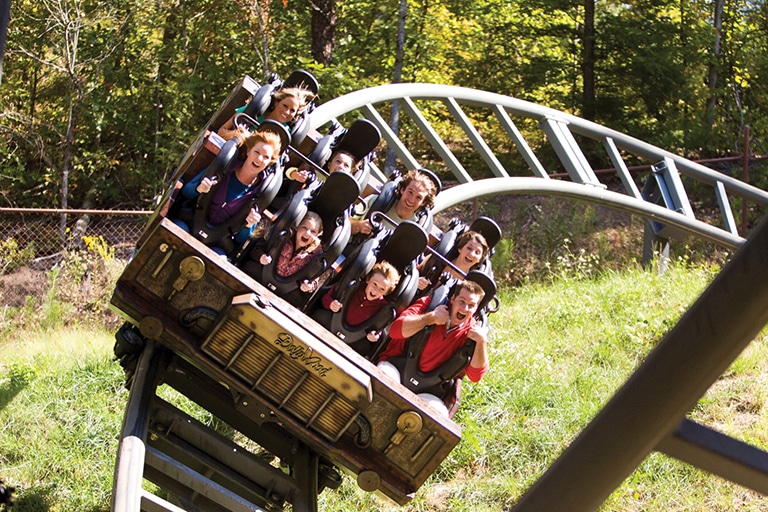 dollywoodmysteryminecoaster My Pigeon