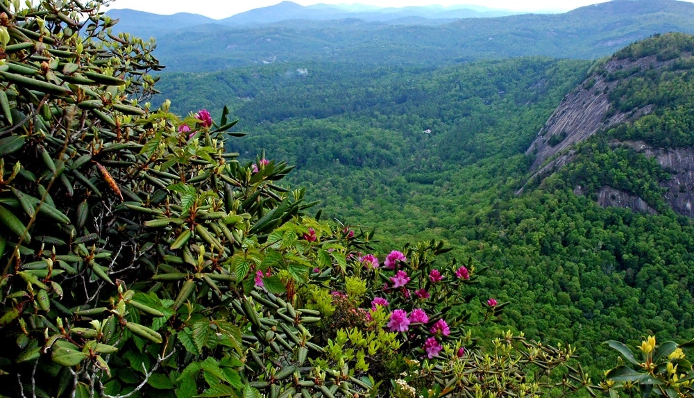 Chimney Tops Trail overlooking Rock Mountain