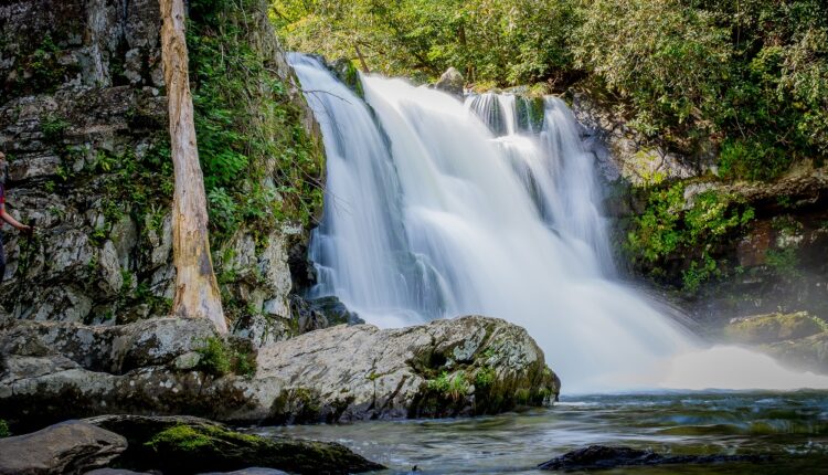 Abrams Falls Trail - Best Spring Hikes in the Smoky Mountains