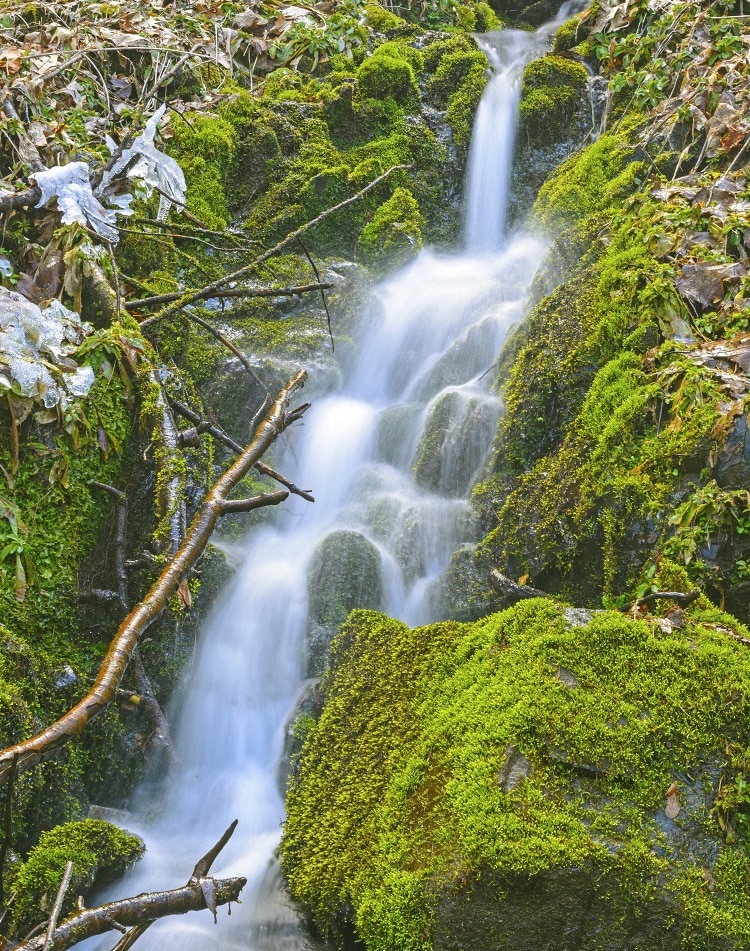 Dancing waters along the Kephart Prong Trail