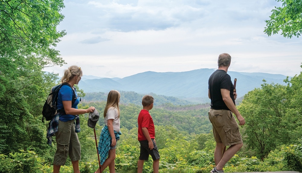 Best Spring Hikes in the Great Smoky Mountains