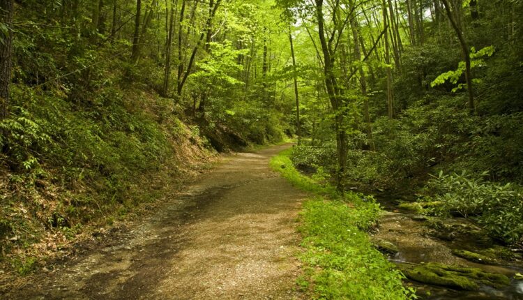 Schoolhouse Gap Trail