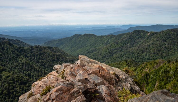 View from Charles Bunion - Spring Hikes in the Smokies