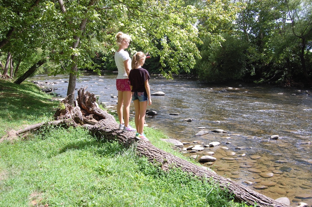 Little Pigeon River