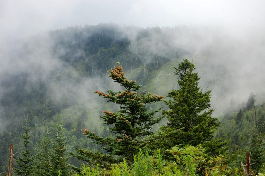 Great Smoky Mountains