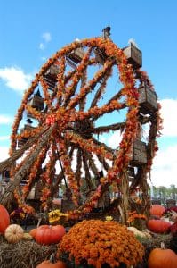 Dollywood Fall