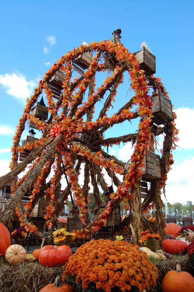 5 Events You Don't Want to Miss This Fall in Pigeon TN