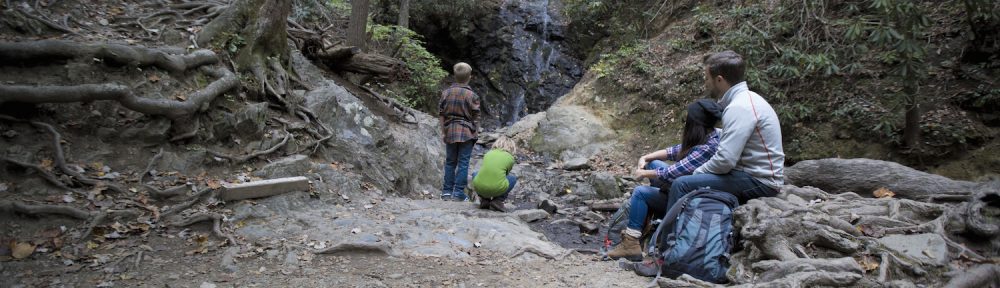Visit Great Smoky Mountains National Park During Fall Break in Pigeon Forge