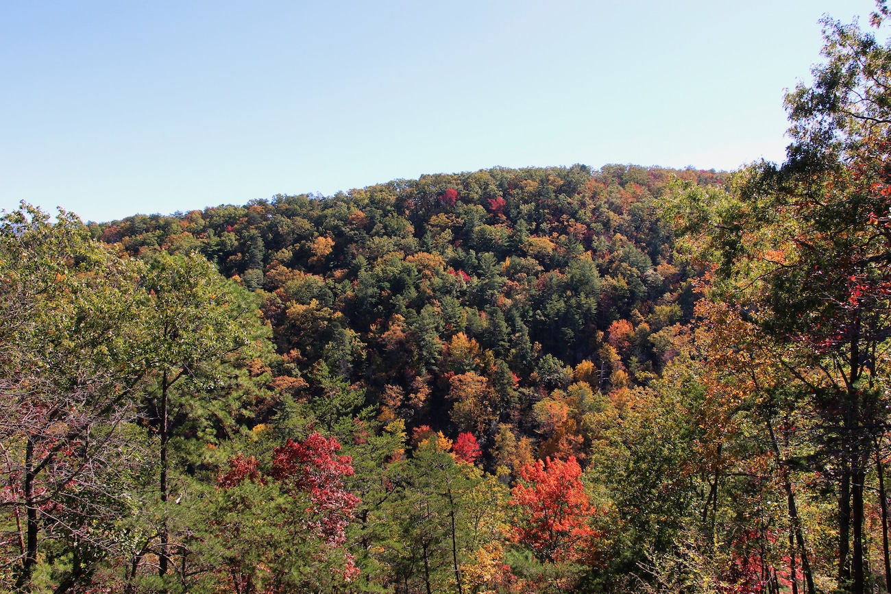 Fall in the Smokies