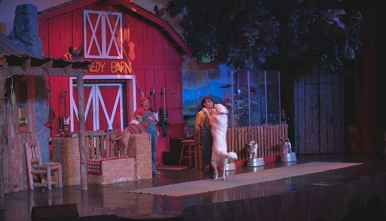 Dancing Animals at Comedy Barn Theater