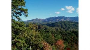 Affordable Cabins in the Smokies