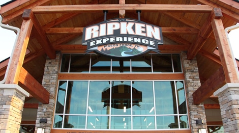 Ripken Experience