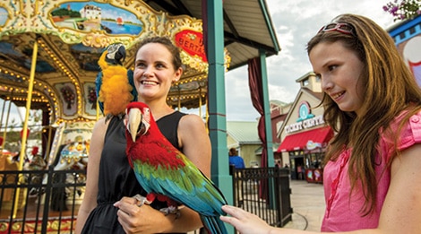 The Island in Pigeon Forge rides