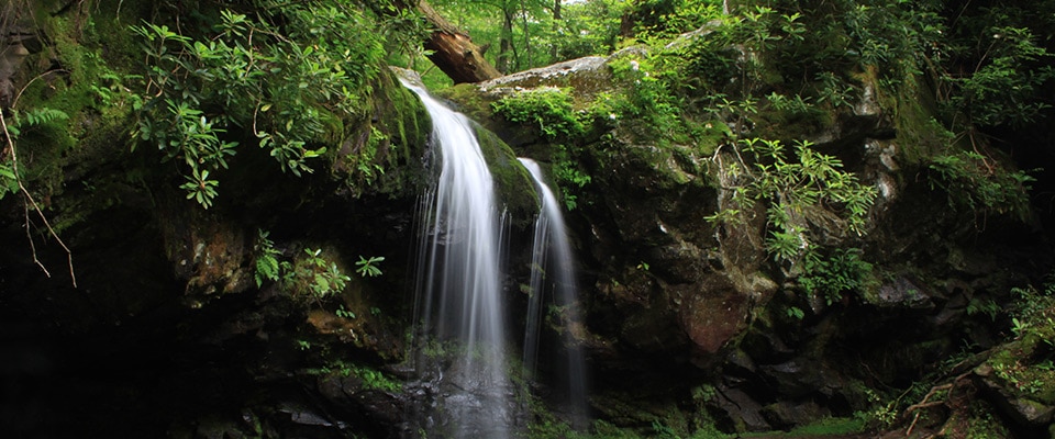 Grotto Falls - Waterfall Hike in Great Smoky Mountains National Park