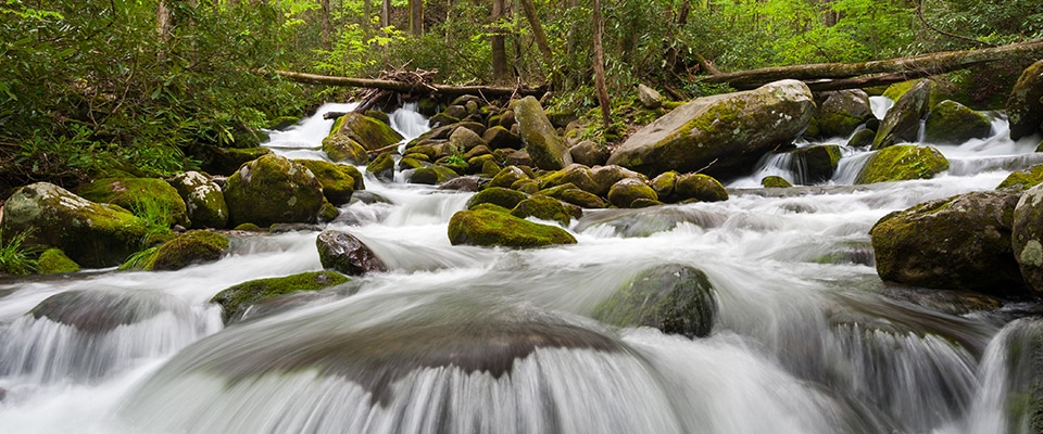 Roaring Fork Motor Nature Trail - Scenic Drives in the Smoky Mountains