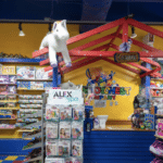 The toy chest shop company