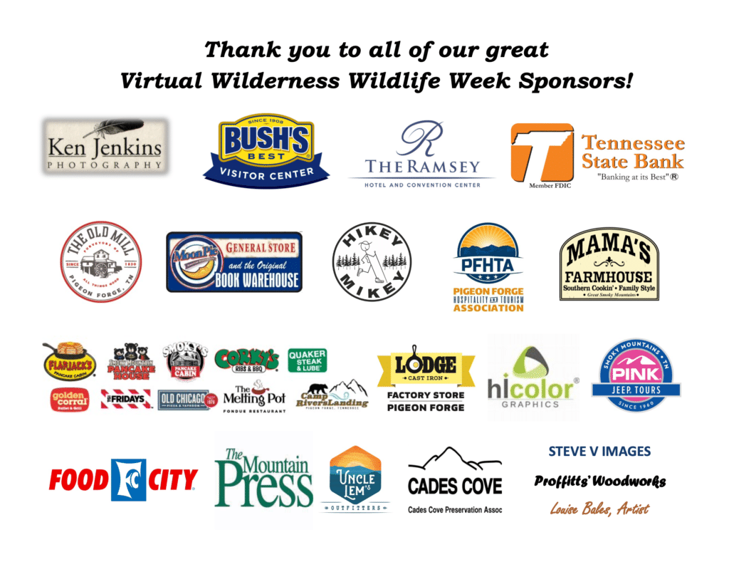 Wilderness Wildlife Week Hiking and Outdoor Event in Pigeon