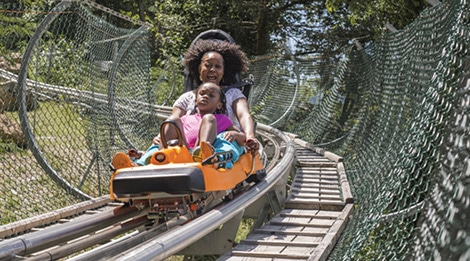 Smoky Mountain Alpine Coaster - Pigeon Forge, TN