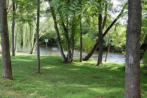 park with trees pigeon forge tn