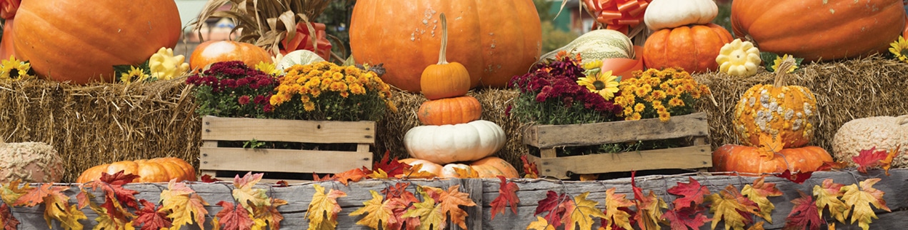 Best Events and Things to Do During Thanksgiving in Pigeon Forge